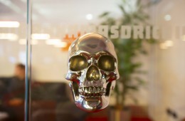 Positive Equity Skull